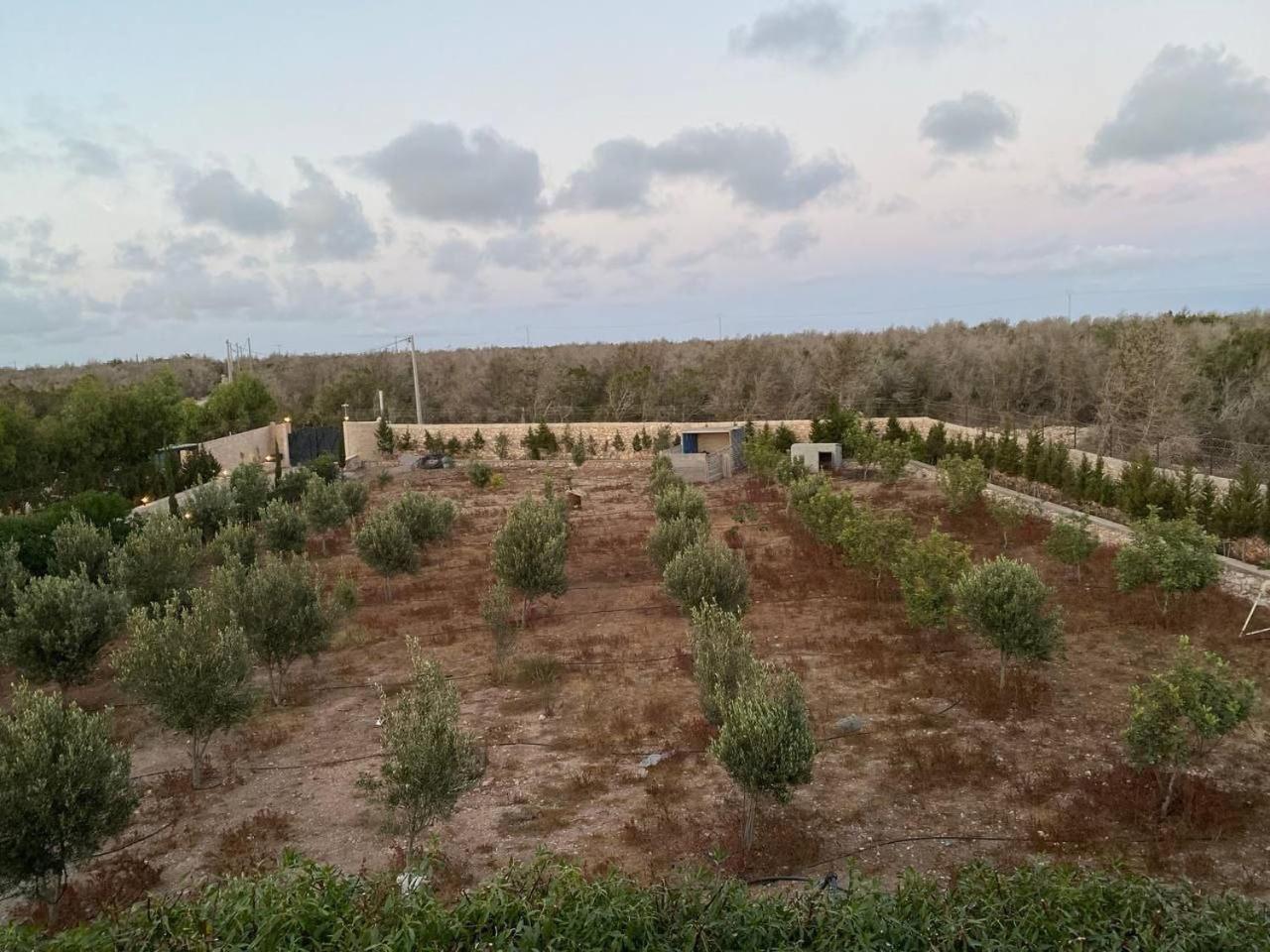 Villa Laarich Εσαουίρα Εξωτερικό φωτογραφία